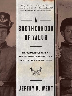 cover image of A Brotherhood of Valor